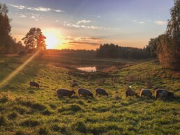 Pokoje na Mazurach | Agroturystyka Mazury Siedlisko na Wygonie